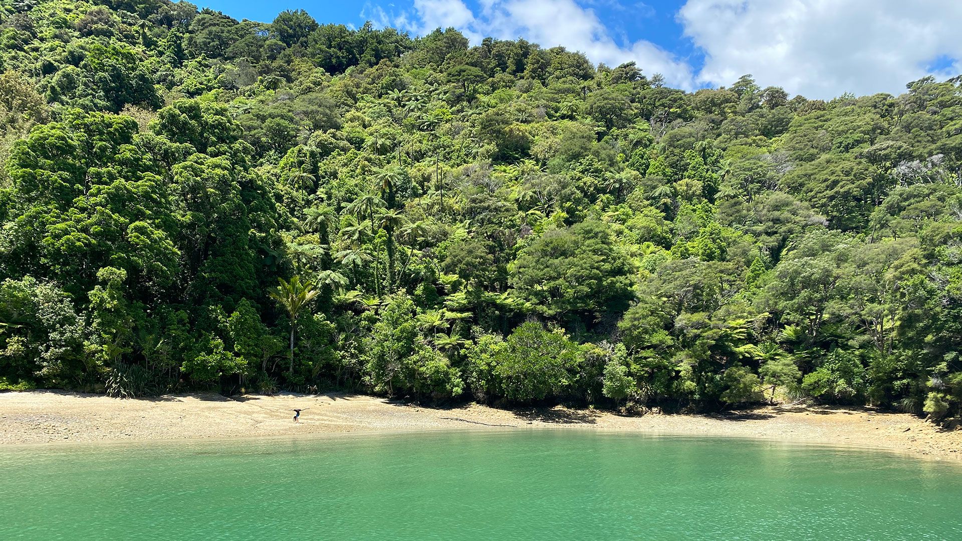 Long Bay Gold Reef Bay